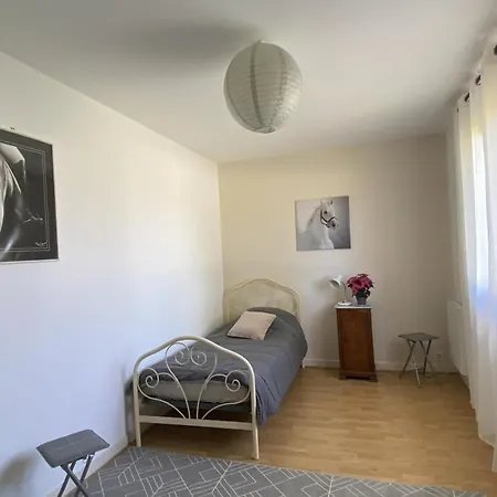 Landsted Grand Chalet, Parking, Animaux Admis - 11 Pers. Pres De Vichy - Fr-1-489-625 *