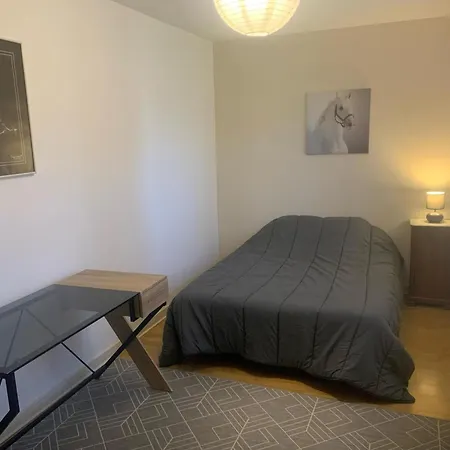 Landsted Grand Chalet, Parking, Animaux Admis - 11 Pers. Pres De Vichy - Fr-1-489-625 *