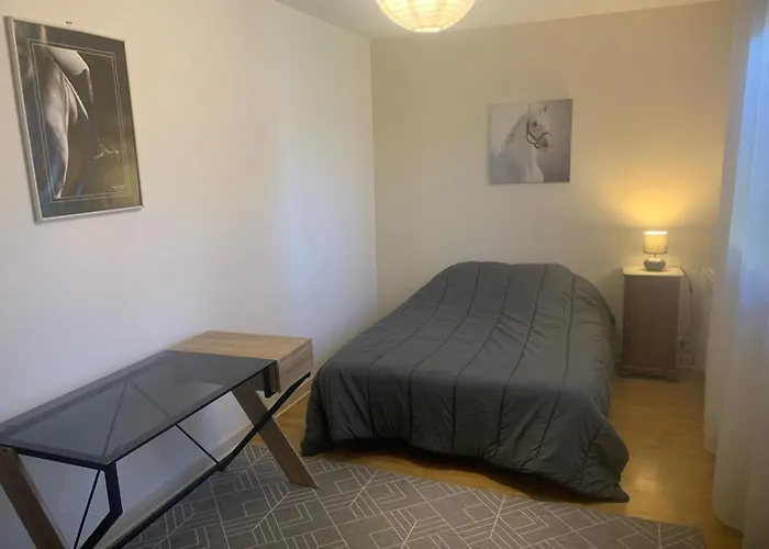 펜션 Grand Chalet, Parking, Animaux Admis - 11 Pers. Pres De Vichy - Fr-1-489-625 *